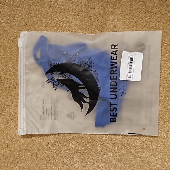 Sapphire Blue Sheer Mesh Thong G-String OSFA - Picture 9 of 9